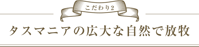 こだわり2 タスマニアの広大な自然で放牧